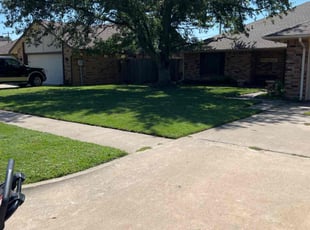 Ben A.'s grass cutting service result