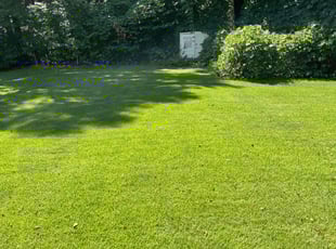 John B.'s grass cutting service result