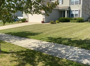 Michael A.'s lawn care services service result