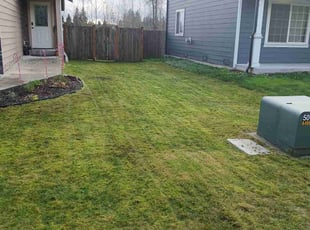 Tony B.'s grass cutting service result