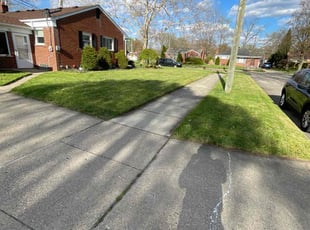 Donna F.'s lawn service service result