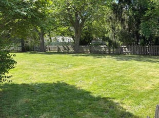 Benjamin J.'s grass maintenance service result