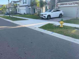 Dustin G.'s Bush Trimming service result