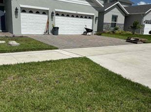 Chloe G.'s grass maintenance service result