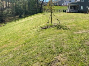James H.'s lawn maintenance service result