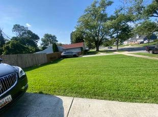 Scott C.'s grass cutting service result