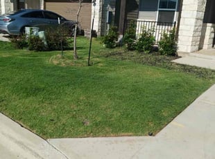 Douglas D.'s turf maintenance service result
