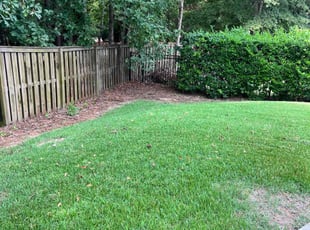 Amy W.'s lawn maintenance service result