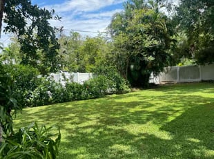 Shawn G.'s turf maintenance service result