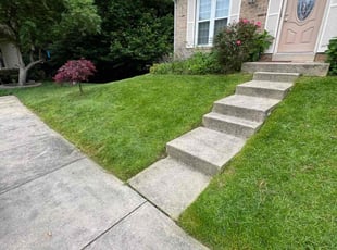 Damien P.'s grass cutting service result