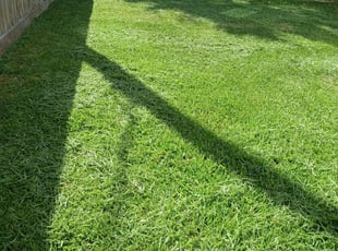 Terrence W.'s lawn service service result