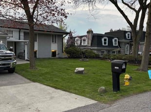 Tracy F.'s residential landscaping service result