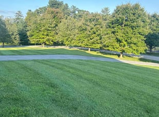 Danielle R.'s lawn maintenance service result