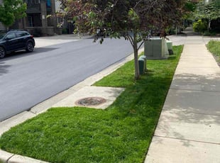 Linda D.'s lawn service service result