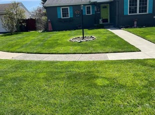 Darleen S.'s lawn service service result