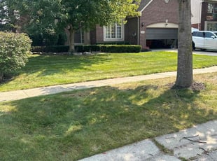 Grena B.'s lawn care services service result