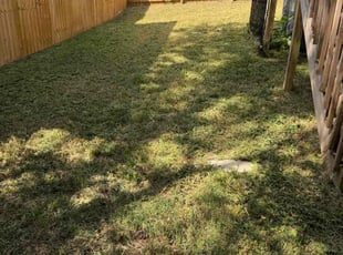 Marvin M.'s grass maintenance service result