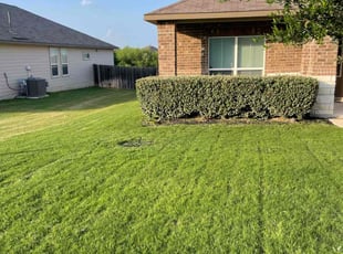 Linda H.'s turf care service result