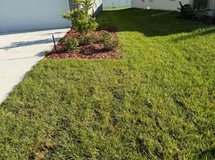 Dale E.'s turf care service result