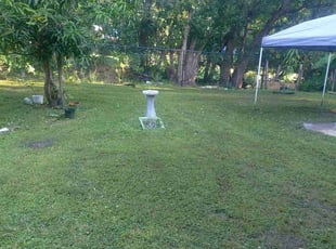 Michael D.'s lawn service service result