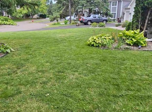 Julian B.'s grass maintenance service result