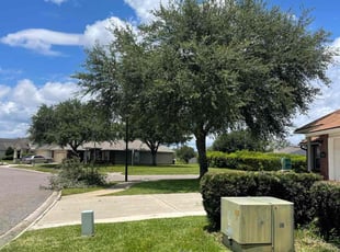 Marcella B.'s Tree Care service result