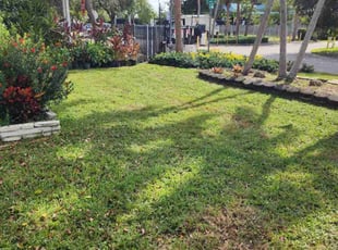 Vivian W.'s turf maintenance service result