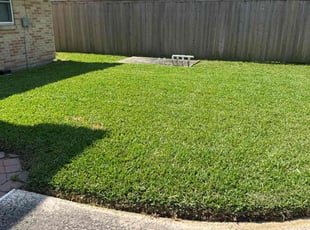 Oscar M.'s lawn maintenance service result