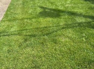 Arthur B.'s lawn care services service result