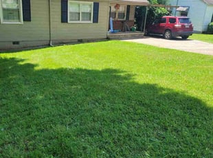 Tom W.'s lawn care services service result