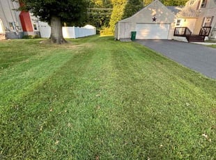 Andrea D.'s grass maintenance service result