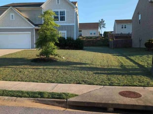 Ed P.'s lawn maintenance service result