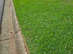 Monica B.'s lawn care services service result