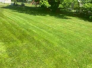 Peg R.'s turf maintenance service result