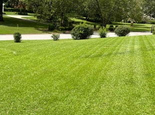 Amy W.'s lawn care services service result