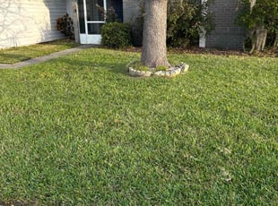 Romualde M.'s lawn service service result