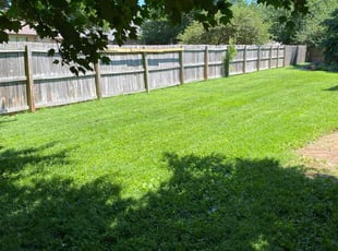 Georgia M.'s grass cutting service result