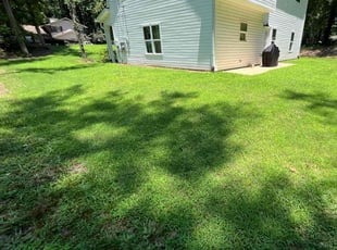 Austin C.'s grass maintenance service result