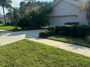 Rich W.'s lawn maintenance service result