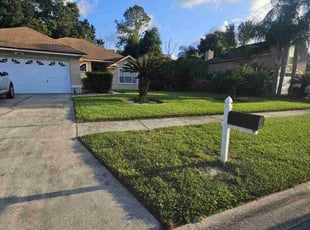 Alison S.'s turf care service result