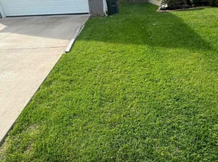 Brenda H.'s grass cutting service result