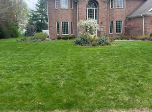Nick M.'s yard work service result