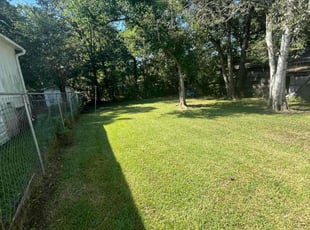 Darcie G.'s lawn care service result
