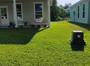 Madhavan R.'s lawn maintenance service result