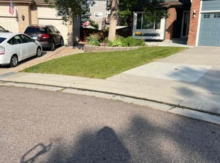 Tina T.'s grass maintenance service result