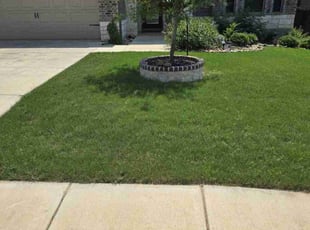 Jasmin C.'s lawn care services service result