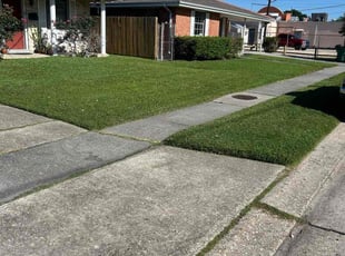 Brian Z.'s lawn care services service result