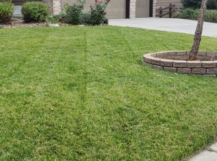 Lorie B.'s Cleanup service result