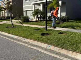 Jimmie R.'s lawn care services service result