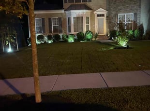 Melanie G.'s Bush Trimming service result